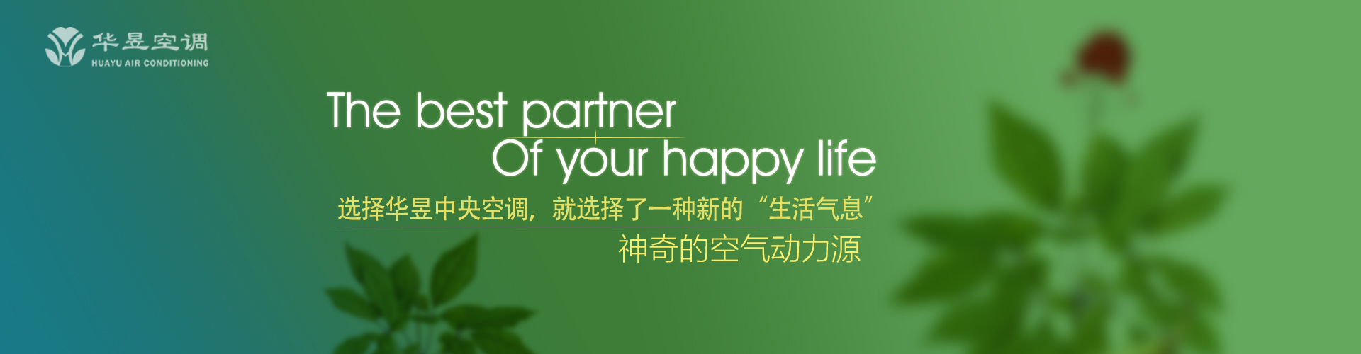 泛滥成灾网